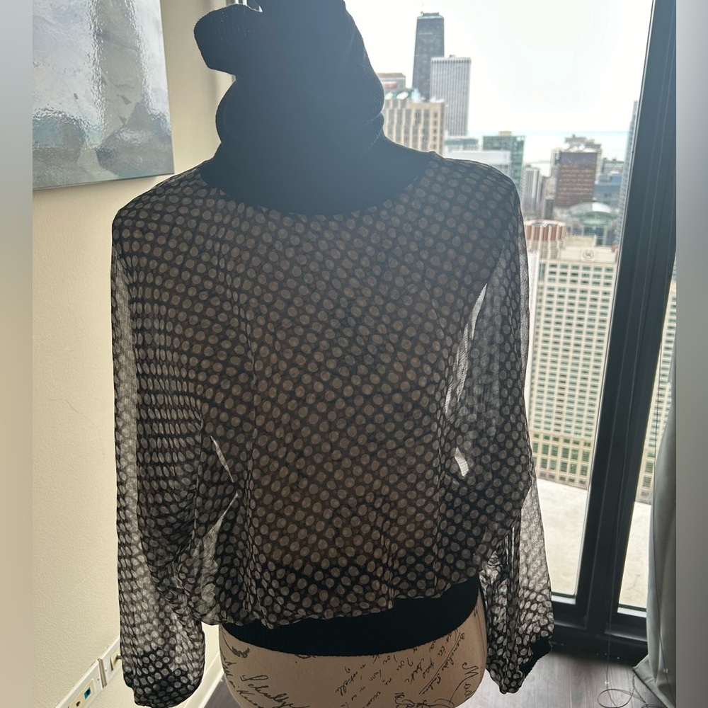 The limited brand sheer turtleneck
